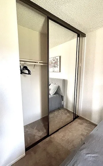 Double closet with full length mirrors.