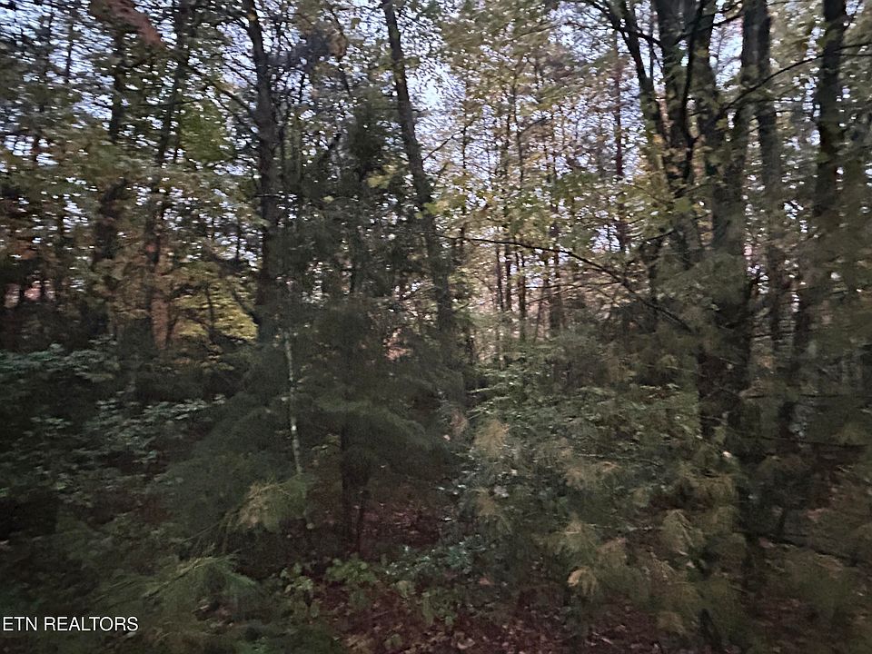 1st image of Wilder Rd