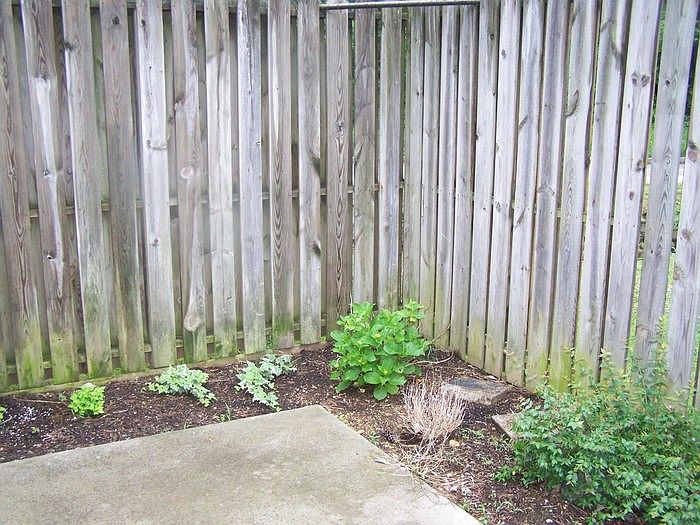 2nd image of 2000 Pueblo Pl