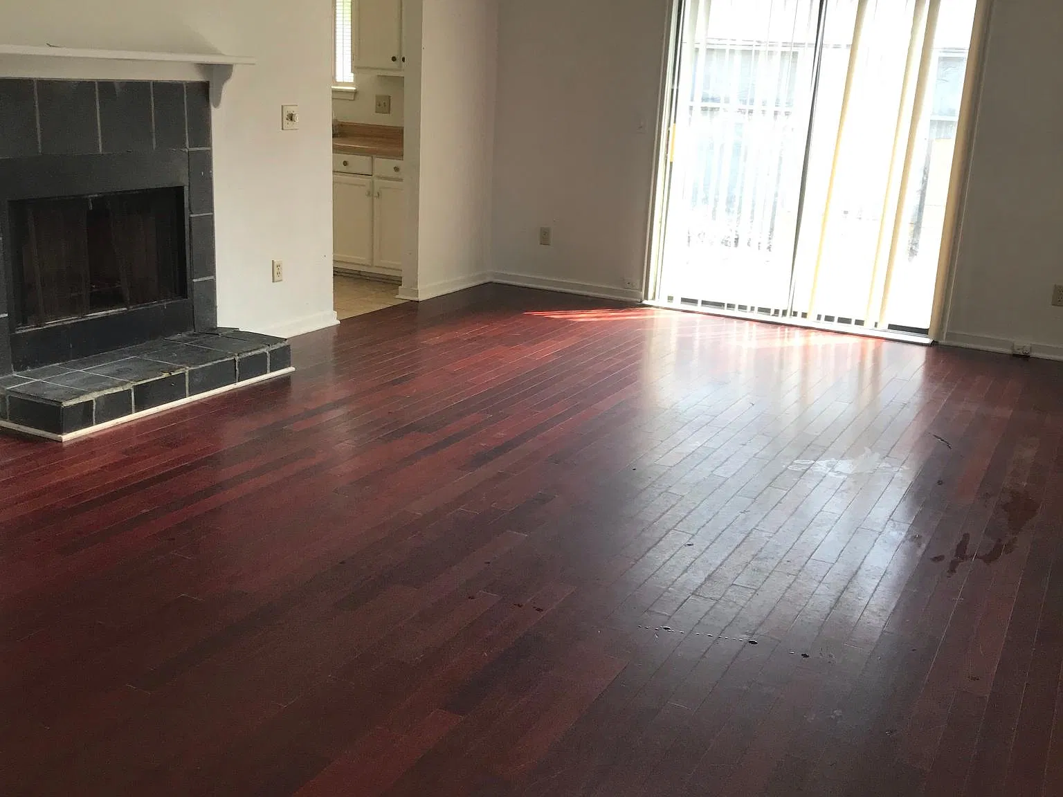 101 Eucalyptus Ct — Photo 3