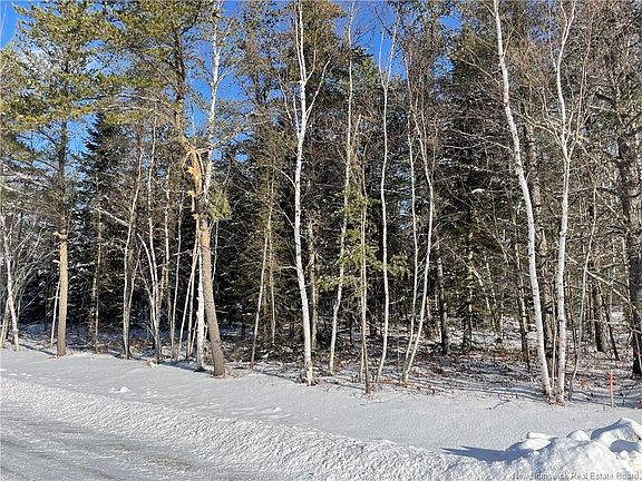 2nd image of 17 Honey St Lot 74