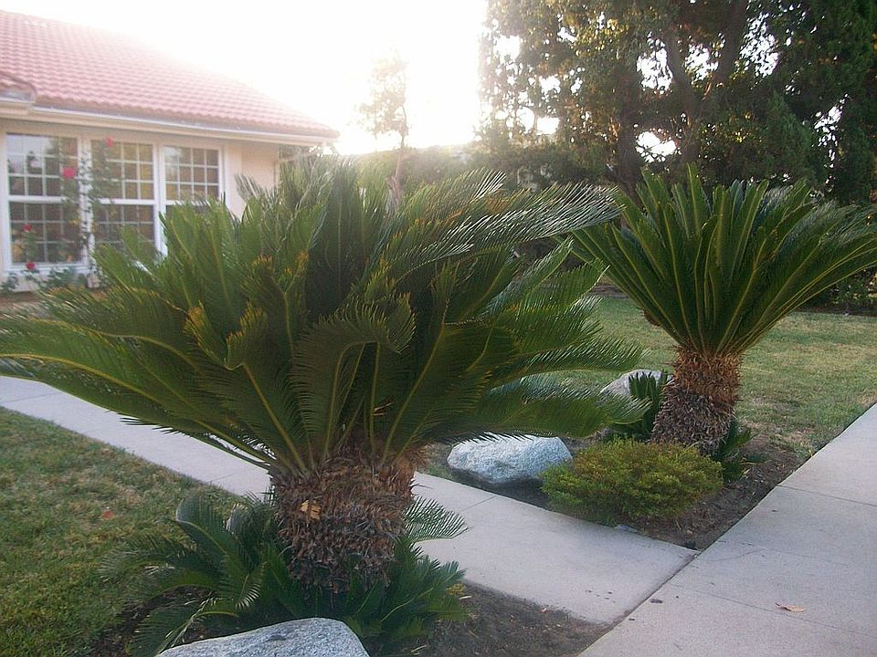 2nd image of 6952 Shoup Ave