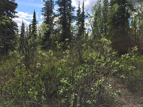 5th image of L4 B5 No Road Near Glennallen