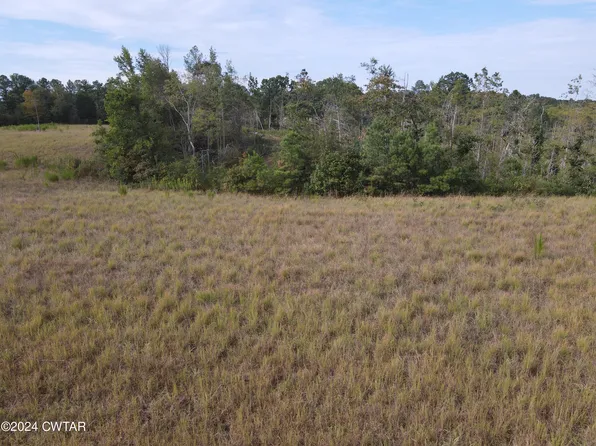 TRACT 3 State Highway 100, Decaturville, TN 38329