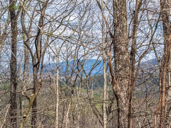 LOT 4L W Katydid Rd, Mineral Bluff, GA 30559