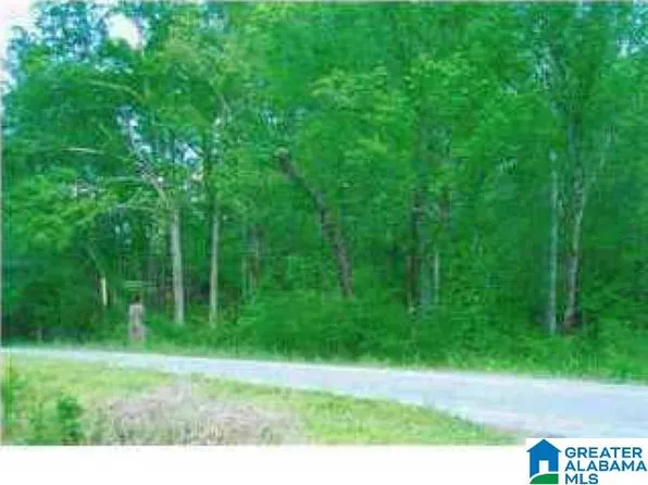 600 Cogswell Ave #1, Pell City, AL 35125