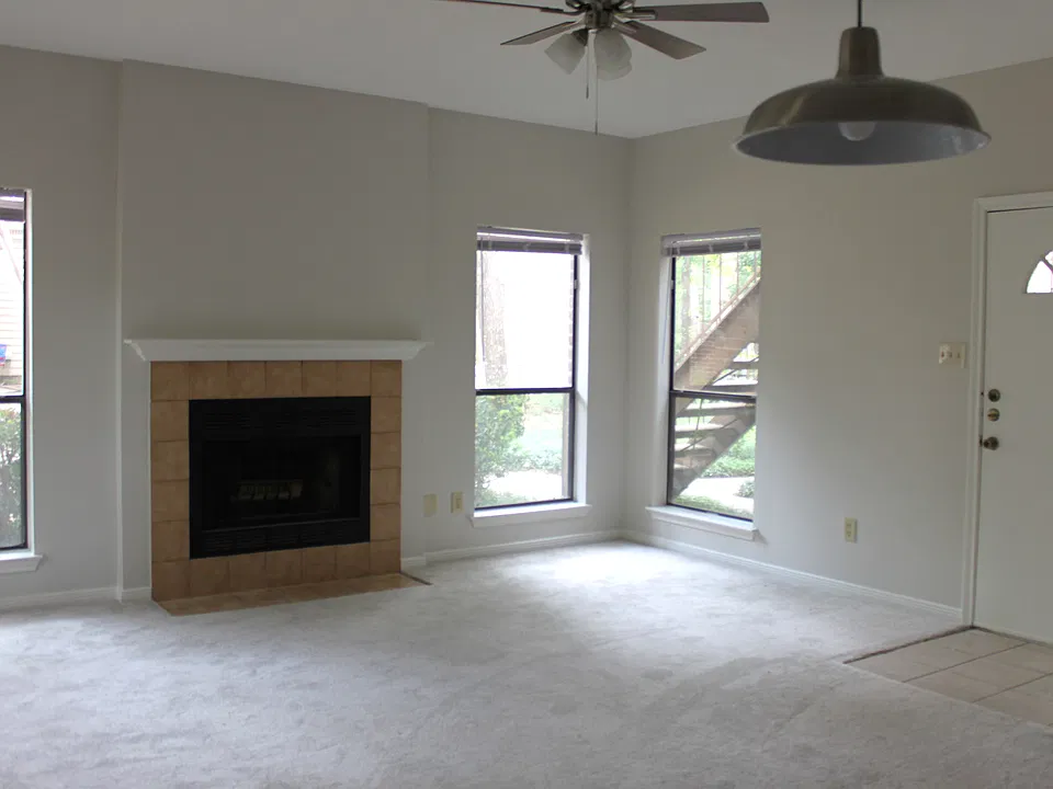 3500 Tangle Brush Dr #171