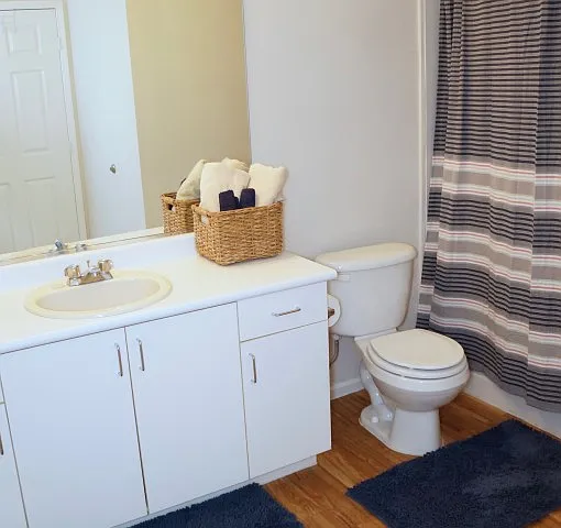 Double sink Double sink