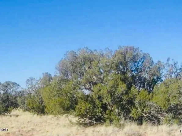 Squaw Tank Vista Dr, Heber, AZ 85928