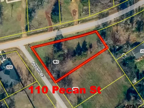 110 Pecan Dr, Bullard, TX 75757