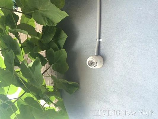 Rented by Living New York | media 18