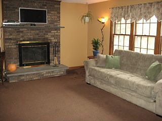 Wood burning fireplace