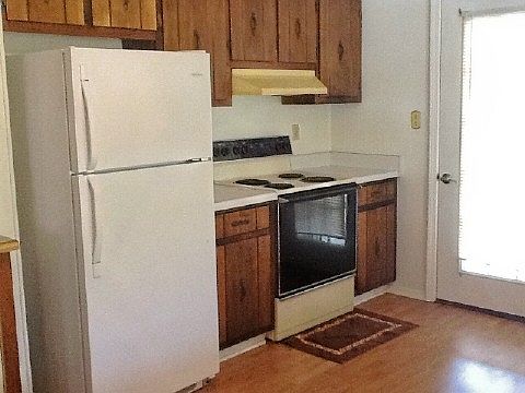3rd image of 723 Vivian Dr