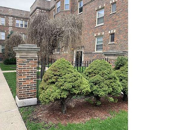 3rd image of 8018 S Evans Ave APT 1