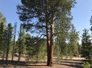 492 Juniper Dr, Leadville, CO 81251