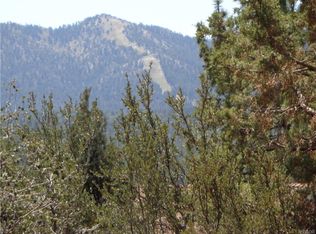 1084 Cedar Mountain Rd, Big Bear City, CA 92314