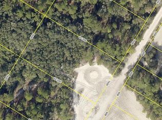 Medicine Stone Dr Lot 15, Webster, FL 33597