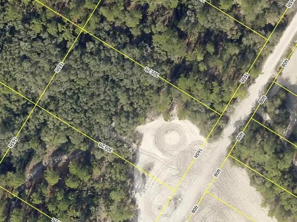 Medicine Stone Dr Lot 15, Webster, FL 33597