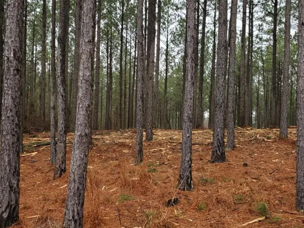 Lot 65 Maiden Cane Way, Lincolnton, GA 30817