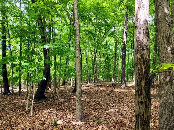 285 Winter Haven Dr, Varna, IL 61375