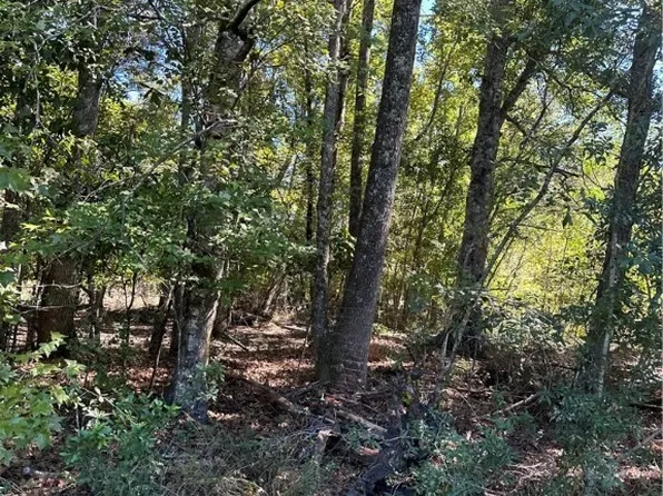 1729 Shawnee Egypt Road, Springfield, GA 31329