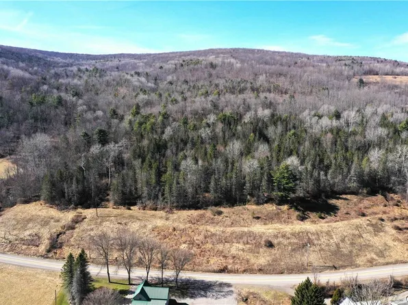 0 Milwaukee Rd, Jasper, NY 14855