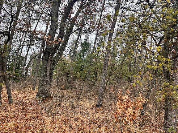 5th image of 5.99 Ac State Road 13 #1