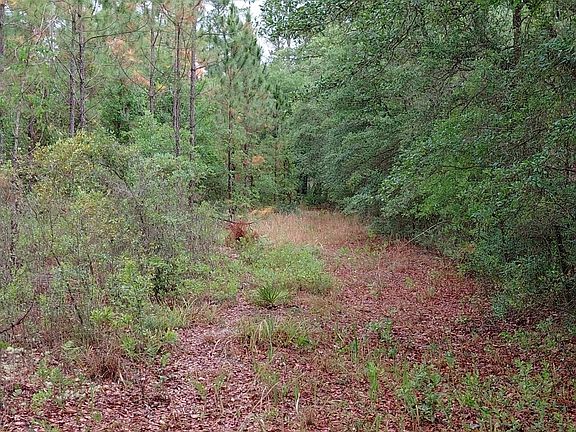 4th image of 779 Ralph Davis Rd #1