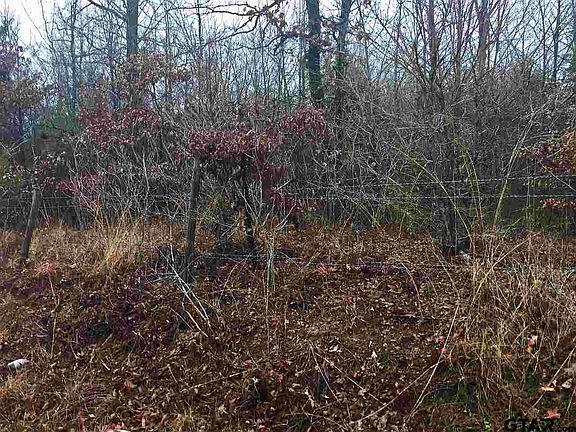 3rd image of County Road 3250/3275