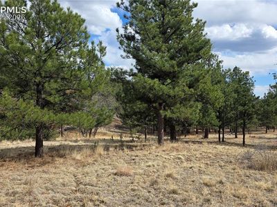 2002 Comanche Cir, Florissant, CO, 80816