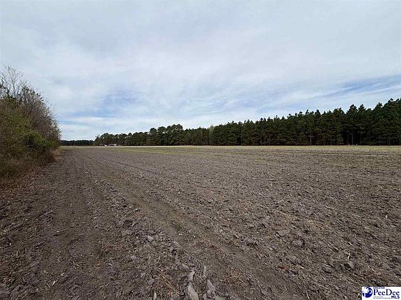 4th image of Mta 4 Heustess Rd