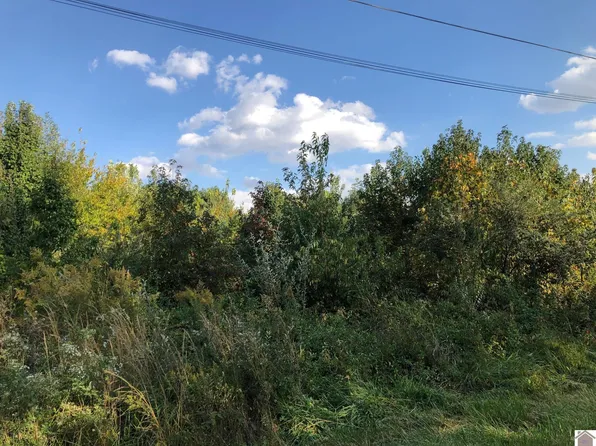 LOT 42 Chris Dr, Mayfield, KY 42066