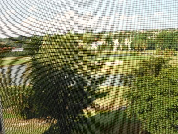Beautiful Golf Views