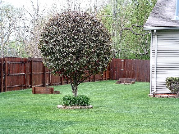 4th image of 3699 Hatfield Dr