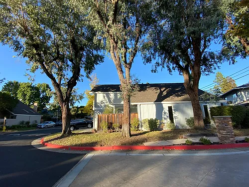 400 Pine Wood Ln Photo 1
