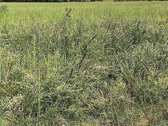 3rd image of 0000 Ns 395 Road