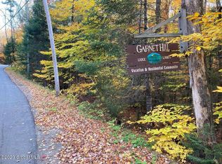 64 Ruby Mountain Vw, North Creek, NY 12853