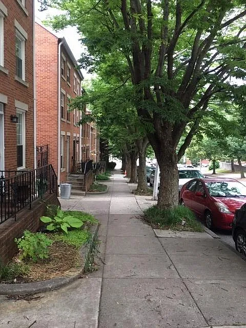 21 N Ann St — Photo 3