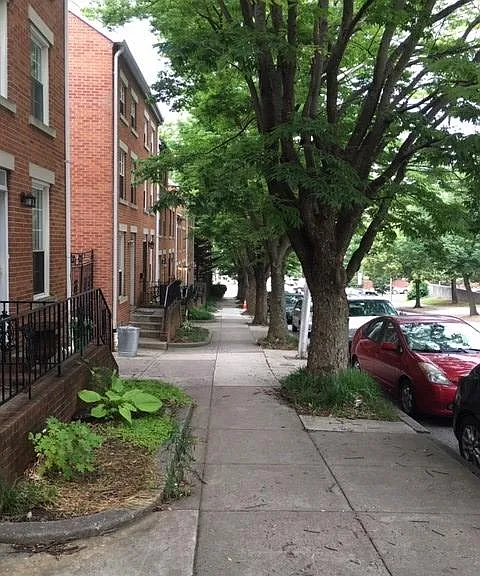 21 N Ann St — Photo 3