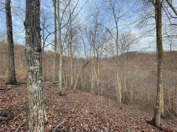 9999 Wild Dog Rd, Bear Branch, KY 41714