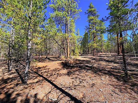 5th image of 323 Aspen Drive LOT 272
