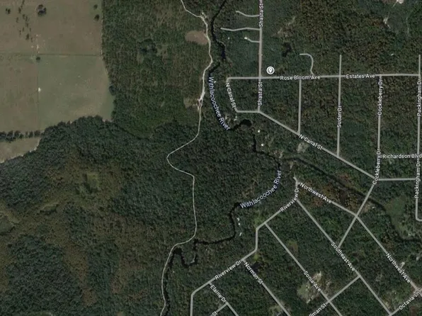 Rose Bloom Ave #7, Webster, FL 33597