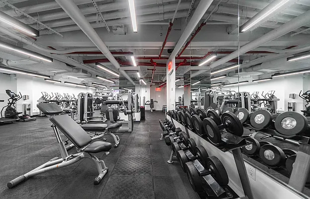 Rented by Platinum Properties | media 34