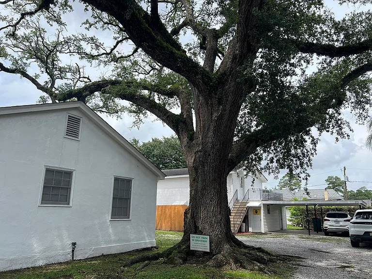 295 Metairie Heights Ave #B — Photo 14