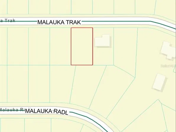 MALAUKA TRAK LOT 31, OCALA, FL 34480