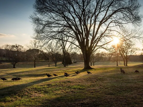 9237 Nina Ct, Brentwood, TN 37027