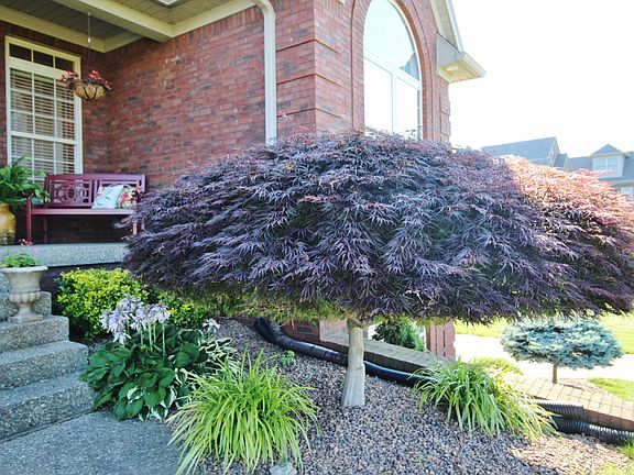 5th image of 211 Eagles Bluff Ct