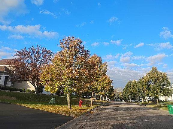 4th image of 9670 Gander Ln