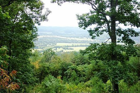 Approx 2,000 ft on Bluff