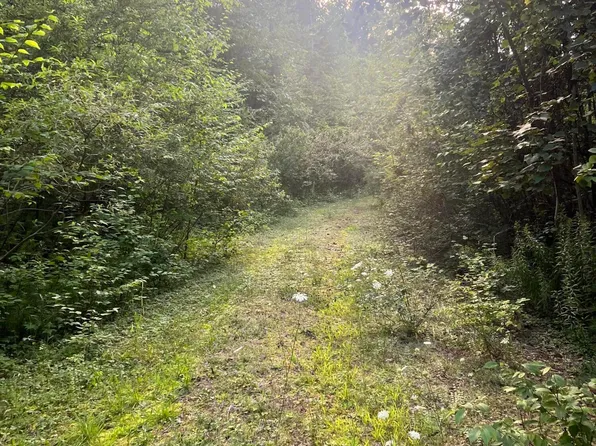 258 Tae Kwon Road, North Blenheim, NY 12131